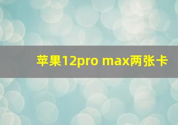 苹果12pro max两张卡